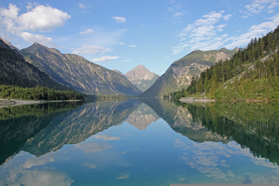plansee